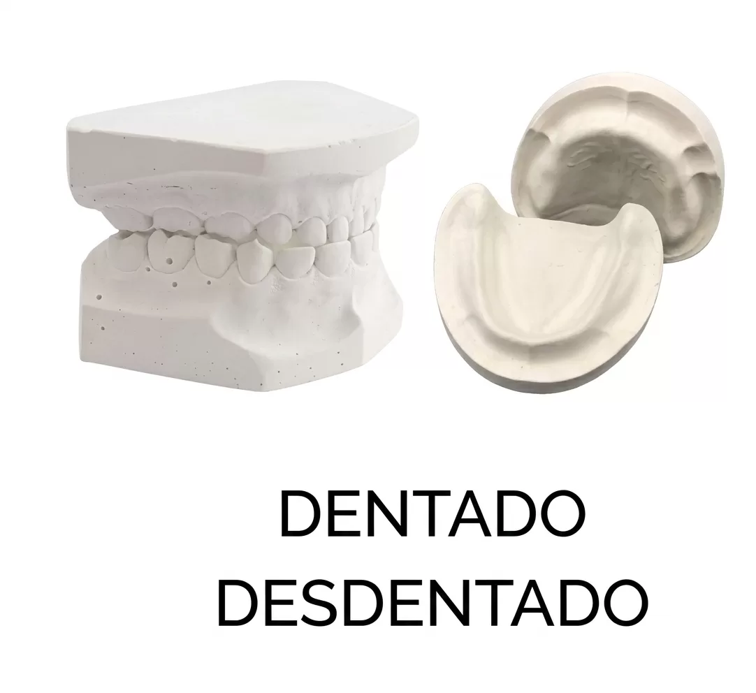 MODELO DE YESO( DENTADO-DESDENTADO)